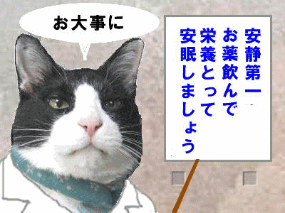 20110126-img_1197270_33107940_8.gif
