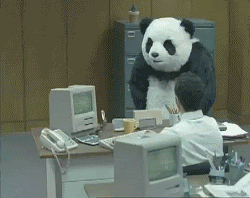 5c3ec4710e4cf1ec683a5a6e0020696d_0.gif