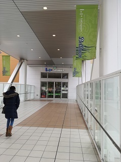 IMG_20190209_130514.jpg