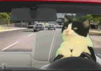a146919152228c1da4991508eaa83431.gif