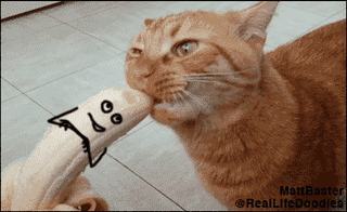 062af557f05d43f7da652b23f0be06e7.gif