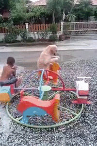 1cdd3bf6.gif