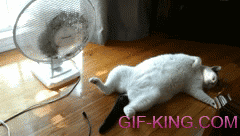 24c03cd54e663ae63277c0417f303cfa.gif