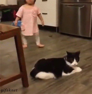 311x319x02aa12543808c14123f9b72b.gif