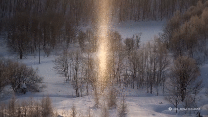 420x236x59f0178a434656426f8b9fff.gif