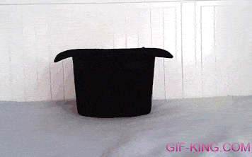 72582359e2aa9ab914d0539b38a47394.gif