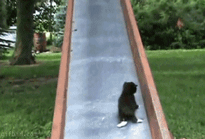 8p-thumbnail2.gif