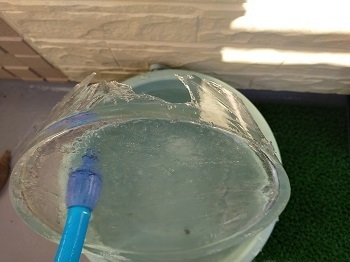 IMG20210110090502.jpg