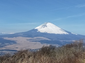 IMG20210210122435.jpg