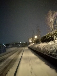 IMG_20180122_201102.jpg
