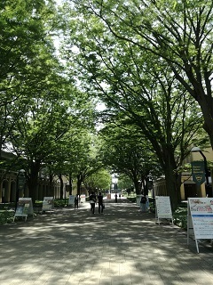 IMG_20180527_112218.jpg