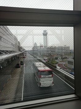 IMG_20181104_142225.jpg