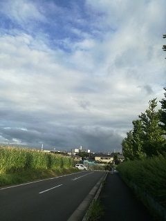 IMG_20190726_175003.jpg