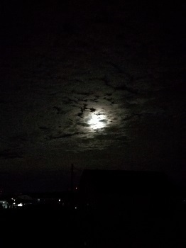 IMG_20191013_183734.jpg