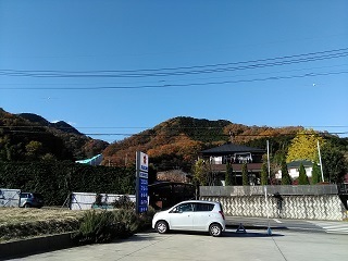 P_20161203_134920.jpg