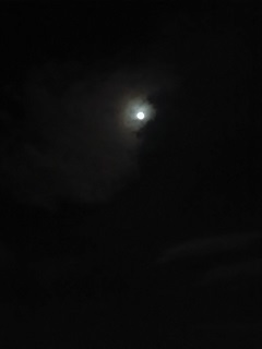 P_20161214_212950.jpg