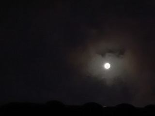 P_20170609_232230.jpg