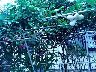 P_20171014_124150.jpg