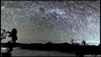 ed2beb59d6e3fd1bbaa6330e68e90c64.gif