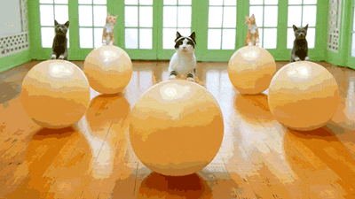 tumblr_ndwfpu4qbF1tgkdkbo1_400.gif